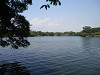 p7290152_thumb.jpg