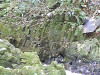 p7300242_thumb.jpg