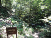 p7300245_thumb.jpg