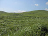 p7300291_thumb.jpg