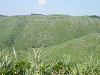 p7300292_thumb.jpg
