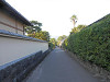 p8010447_thumb.jpg