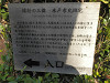 p8010449_thumb.jpg