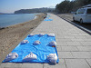 p8010503_thumb.jpg