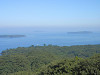 p8010517_thumb.jpg