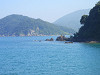 p8010523_thumb.jpg