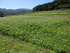 p8010527_thumb.jpg