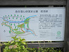 p8020548_thumb.jpg