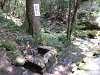 p8020586_thumb.jpg