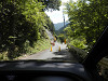 p9140023_thumb.jpg