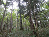 p9140035_thumb.jpg