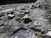p9150093_thumb.jpg