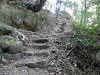 p9300451_thumb.jpg