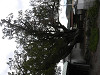 p9300470_thumb.jpg