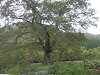 pa010522_thumb.jpg