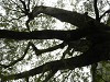 pa010525_thumb.jpg