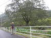 pa010526_thumb.jpg