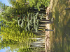 pa020613_thumb.jpg