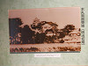 pa020638_thumb.jpg