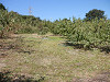 pa020653_thumb.jpg