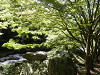 pa030749_thumb.jpg