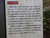 pa030779_thumb.jpg