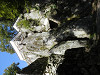 pa030782_thumb.jpg