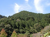 pa030816_thumb.jpg