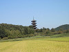pa030833_thumb.jpg