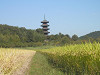 pa030836_thumb.jpg