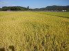 pa030839_thumb.jpg
