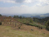 pa040908_thumb.jpg