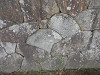 pa051003_thumb.jpg