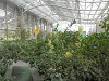 pa051036_thumb.jpg