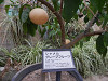 pa051039_thumb.jpg