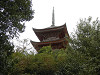 pa051041_thumb.jpg