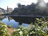 pa061078_thumb.jpg