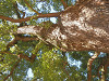 pa061088_thumb.jpg