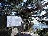 pa061113_thumb.jpg
