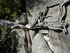 pa061149_thumb.jpg