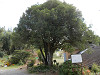 pa061168_thumb.jpg