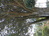 pa061169_thumb.jpg