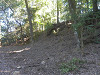pa071235_thumb.jpg
