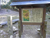 pa071237_thumb.jpg