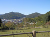 pa071261_thumb.jpg