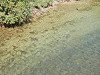 pa071271_thumb.jpg
