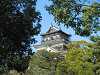 pa071314_thumb.jpg