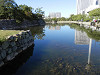 pa071339_thumb.jpg