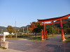 pa081374_thumb.jpg