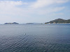 pa081387_thumb.jpg